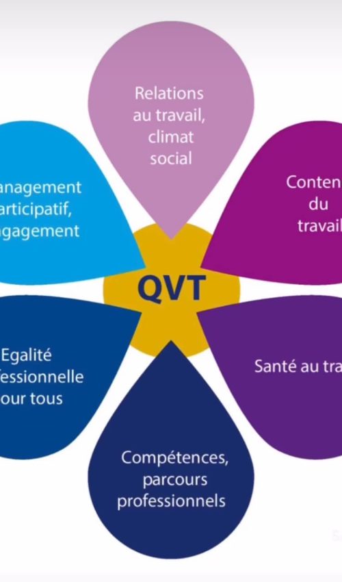 QVTtimerelax